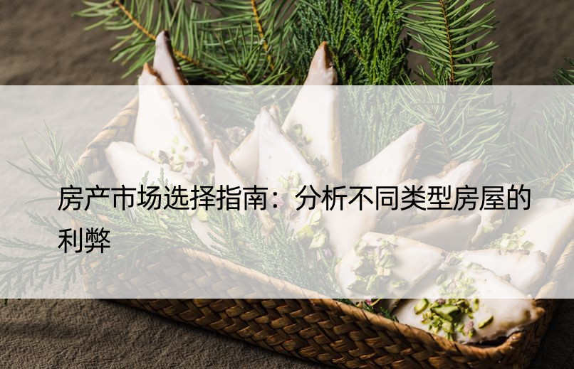 房产市场选择指南：分析不同类型房屋的利弊