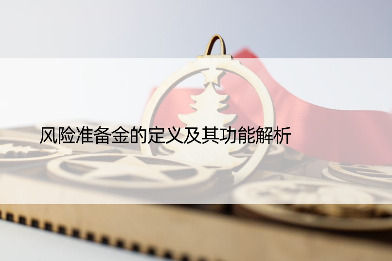 风险准备金的定义及其功能解析