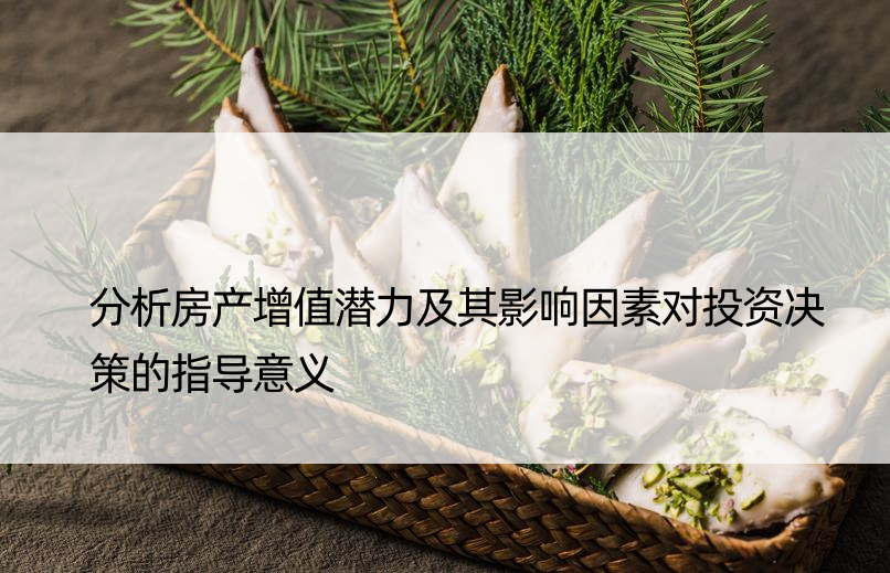 分析房产增值潜力及其影响因素对投资决策的指导意义