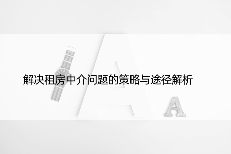 解决租房中介问题的策略与途径解析