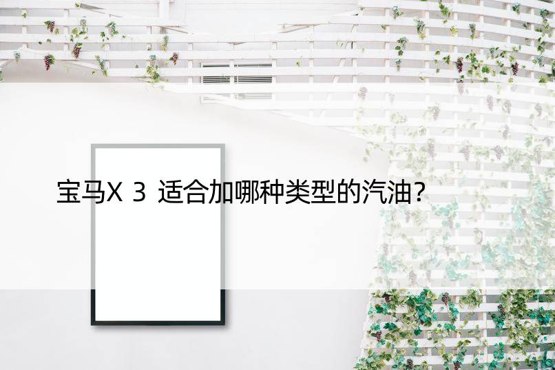 宝马X3适合加哪种类型的汽油？