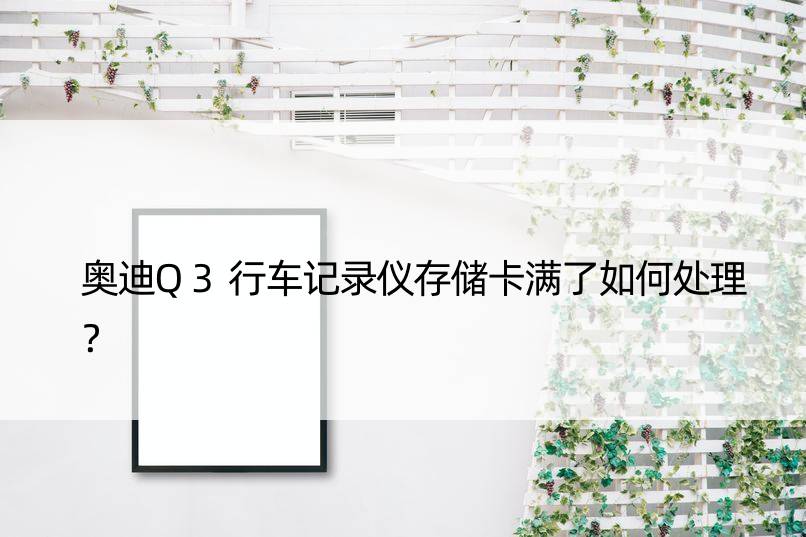 奥迪Q3行车记录仪存储卡满了如何处理？