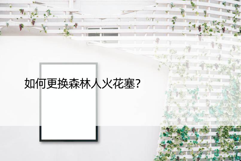 如何更换森林人火花塞？