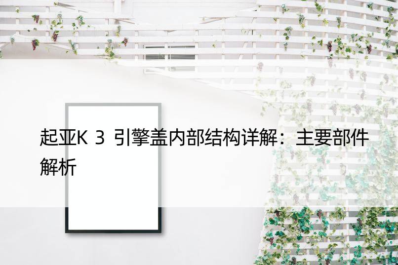 起亚K3引擎盖内部结构详解：主要部件解析