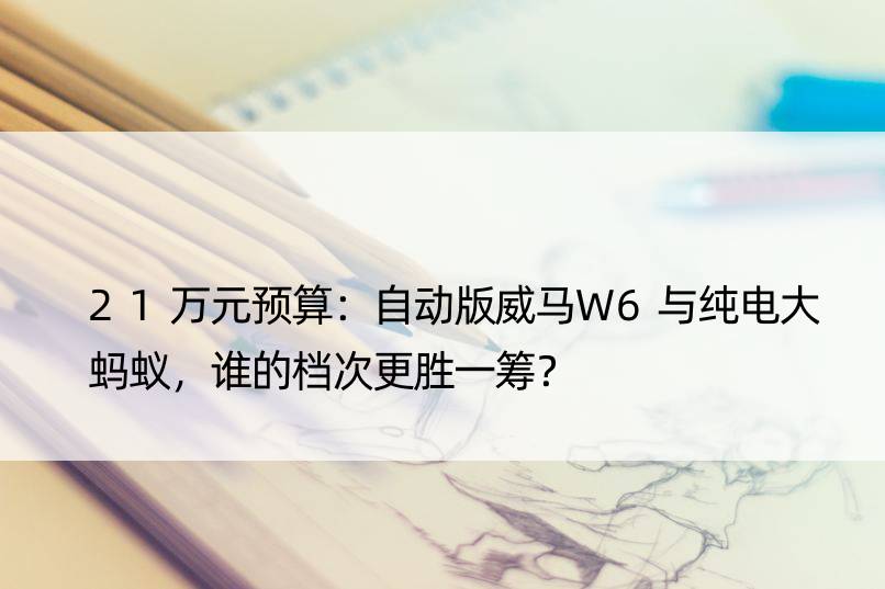 21万元预算：自动版威马W6与纯电大蚂蚁，谁的档次更胜一筹？