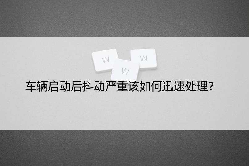 车辆启动后抖动严重该如何迅速处理？