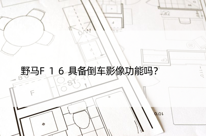 野马F16具备倒车影像功能吗？