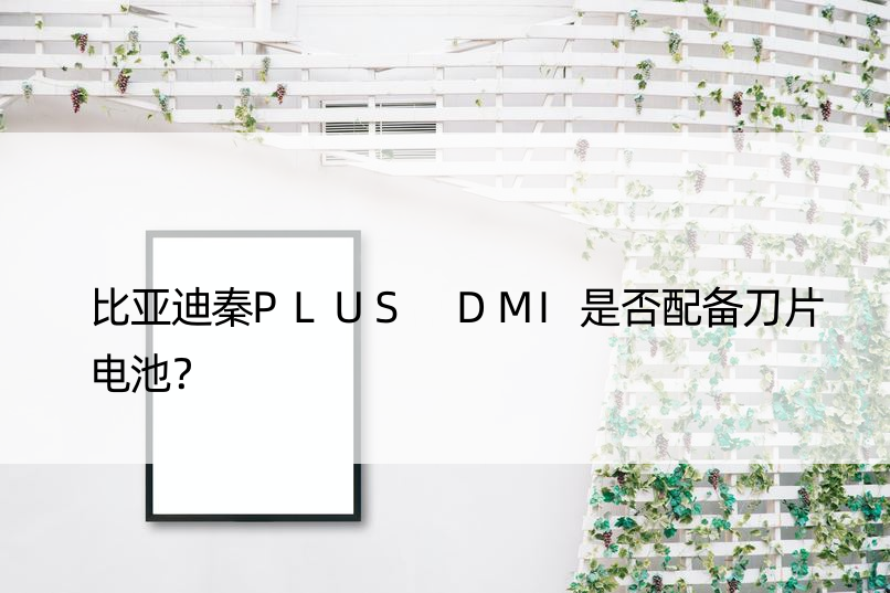 比亚迪秦PLUS DMI是否配备刀片电池？