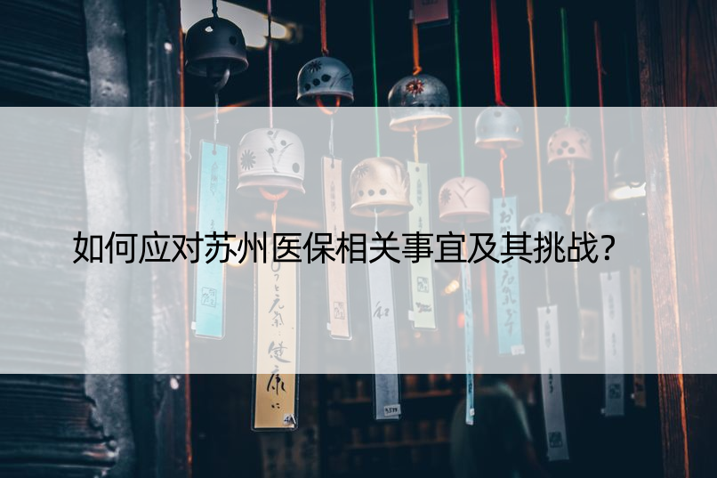 如何应对苏州医保相关事宜及其挑战？