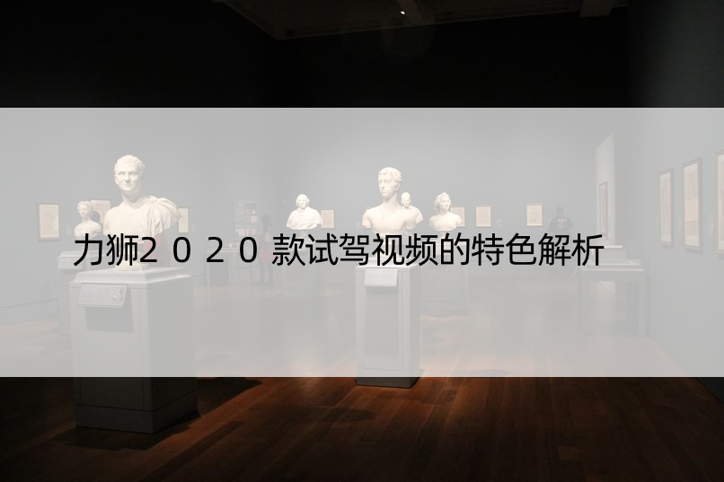 力狮2020款试驾视频的特色解析