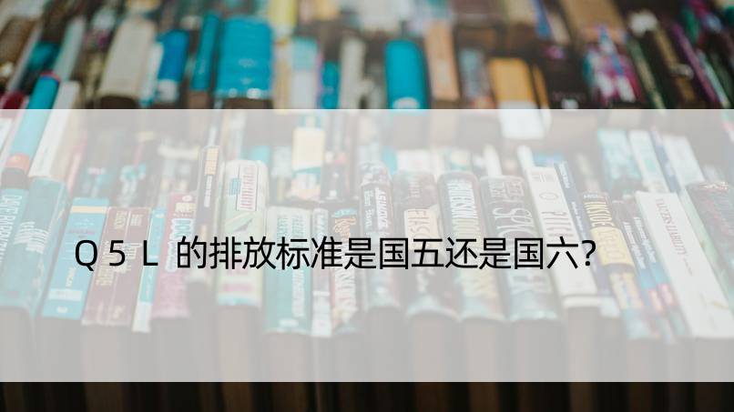 Q5L的排放标准是国五还是国六？