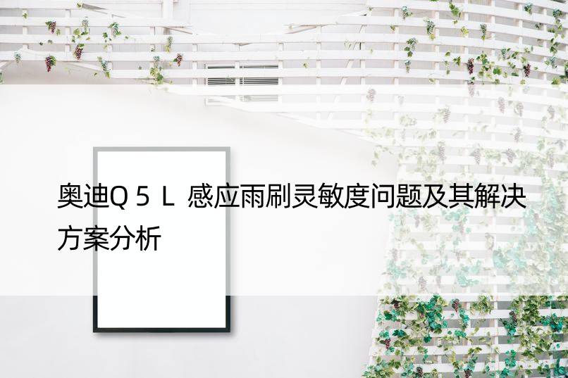 奥迪Q5L感应雨刷灵敏度问题及其解决方案分析