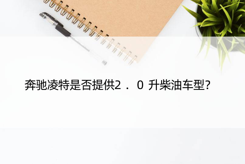 奔驰凌特是否提供2.0升柴油车型？