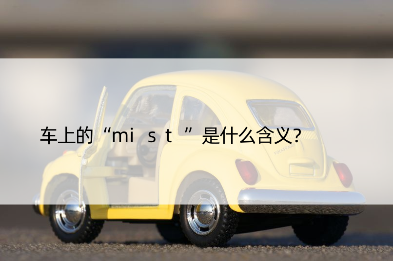 车上的“mist”是什么含义？