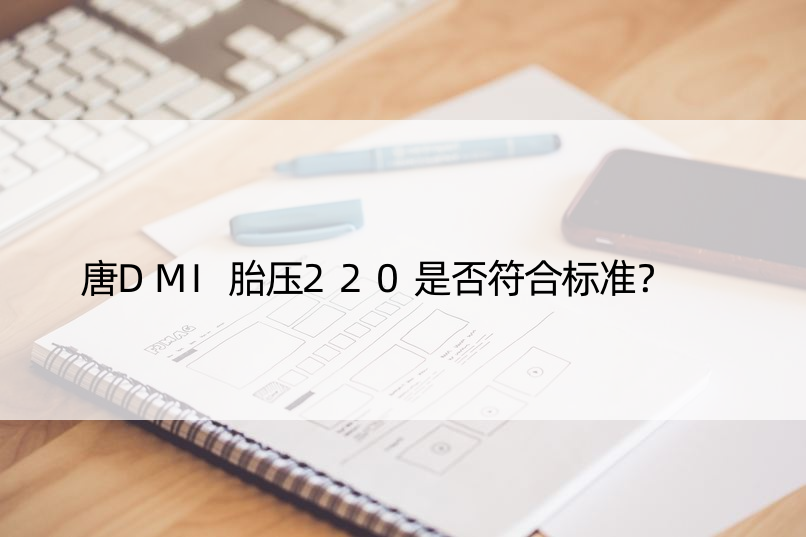 唐DMI胎压220是否符合标准？