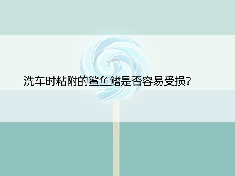 洗车时粘附的鲨鱼鳍是否容易受损？