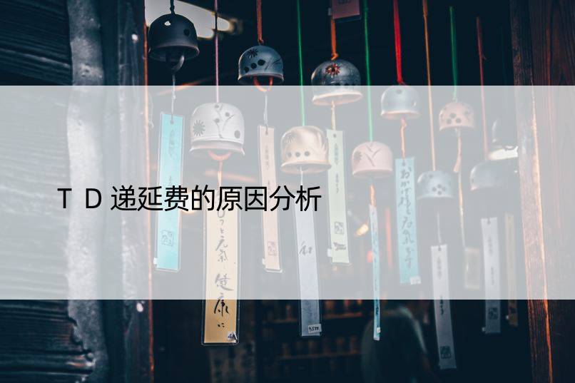 TD递延费的原因分析