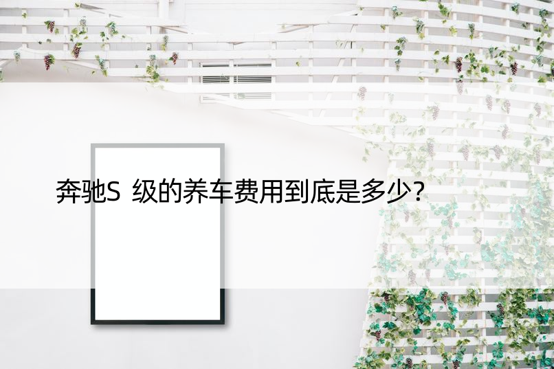 奔驰S级的养车费用到底是多少？