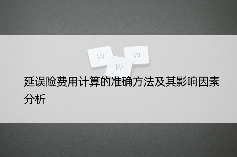 延误险费用计算的准确方法及其影响因素分析