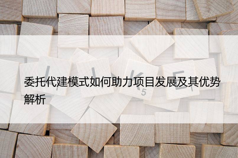 委托代建模式如何助力项目发展及其优势解析