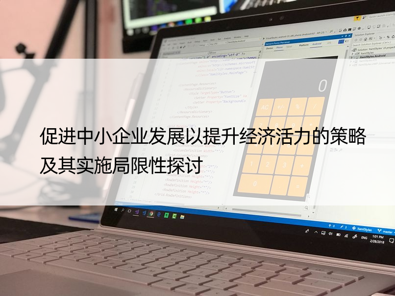 促进中小企业发展以提升经济活力的策略及其实施局限性探讨