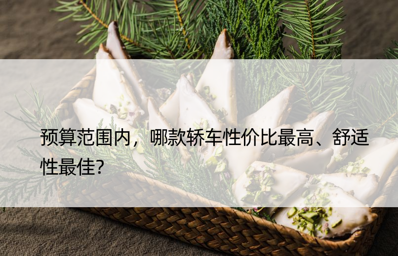 预算范围内，哪款轿车性价比更高、舒适性更佳？