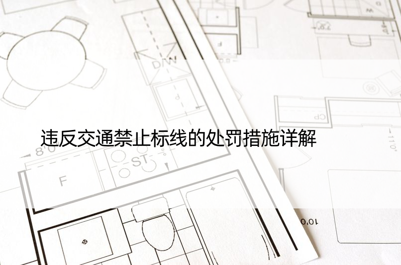 违反交通禁止标线的处罚措施详解