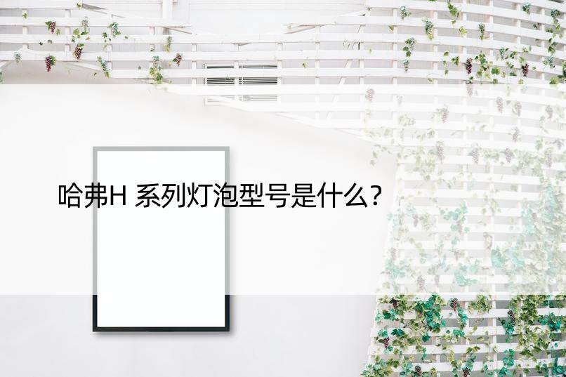 哈弗H系列灯泡型号是什么？