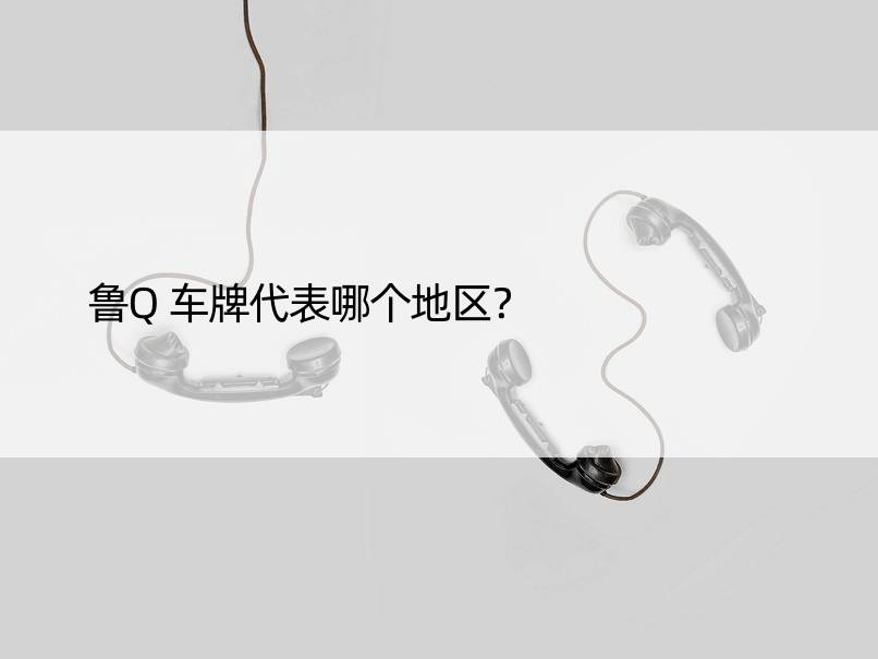 鲁Q车牌代表哪个地区？