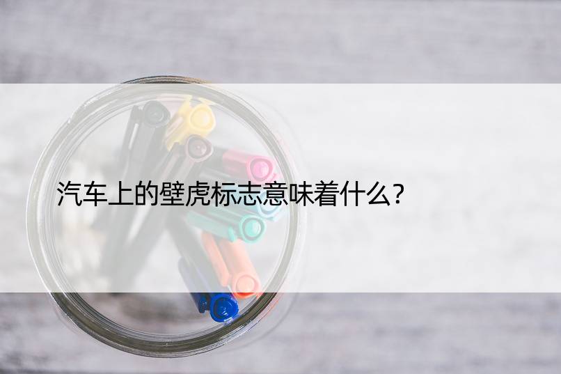 汽车上的壁虎标志意味着什么？