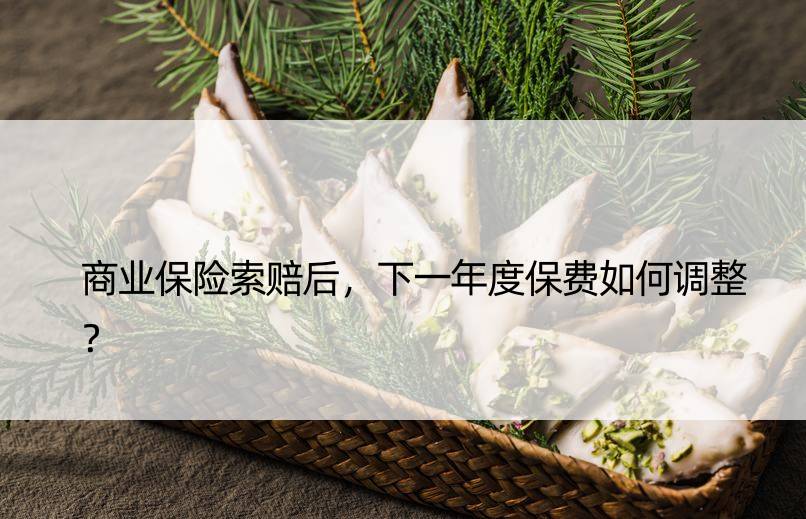 商业保险索赔后，下一年度保费如何调整？