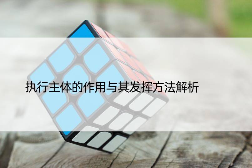 执行主体的作用与其发挥方法解析