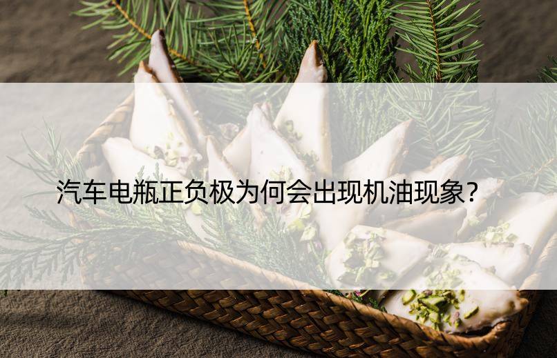 汽车电瓶正负极为何会出现机油现象？