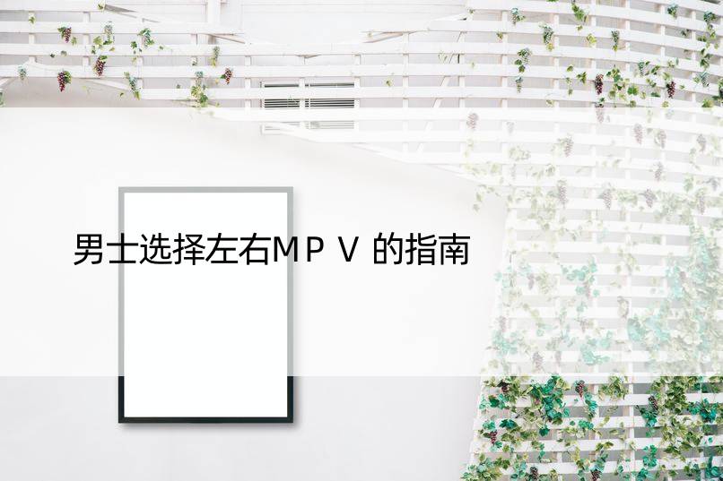 男士选择左右MPV的指南