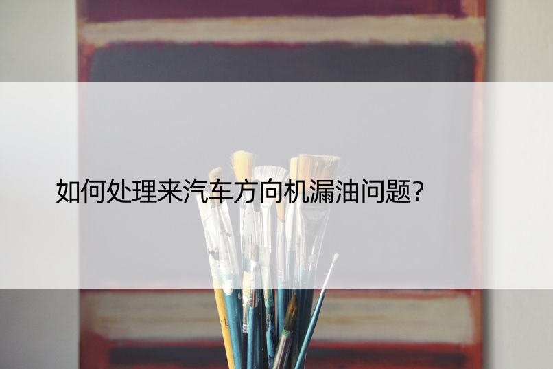 如何处理来汽车方向机漏油问题？