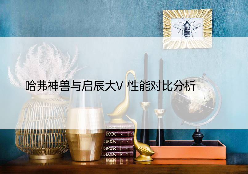 哈弗神兽与启辰大V性能对比分析