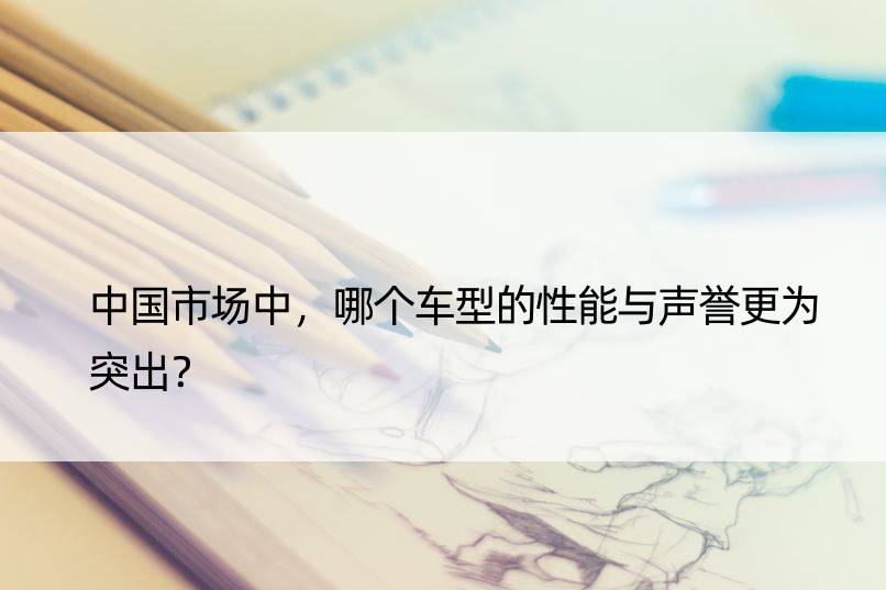 中国市场中，哪个车型的性能与声誉更为突出？