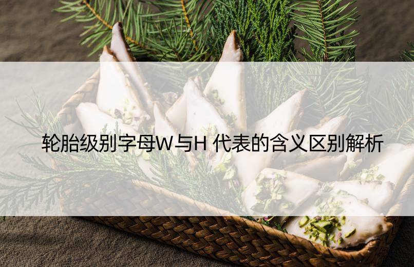 轮胎级别字母W与H代表的含义区别解析