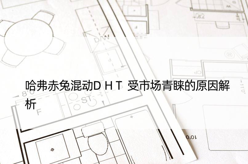 哈弗赤兔混动DHT受市场青睐的原因解析