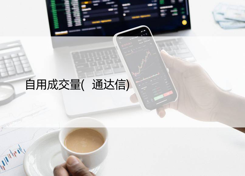 自用成交量(通达信)