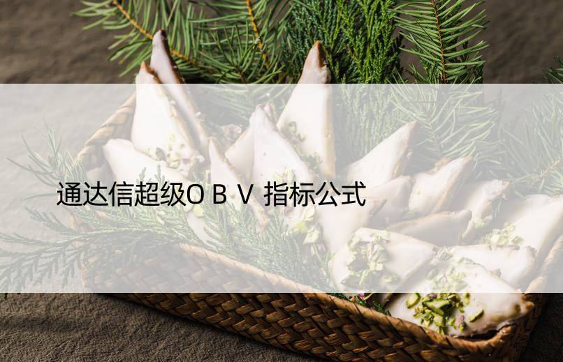 通达信超级OBV指标公式